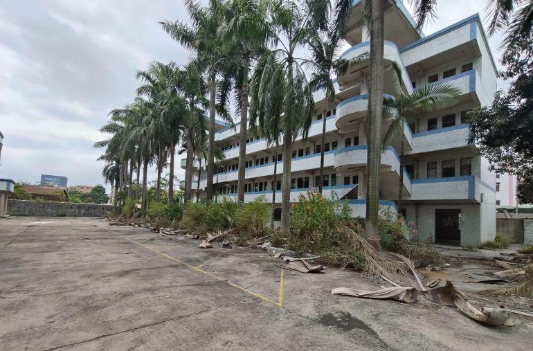 厚街标准独院厂房出租 空地大 适合五金 模具 鞋材 皮革家具