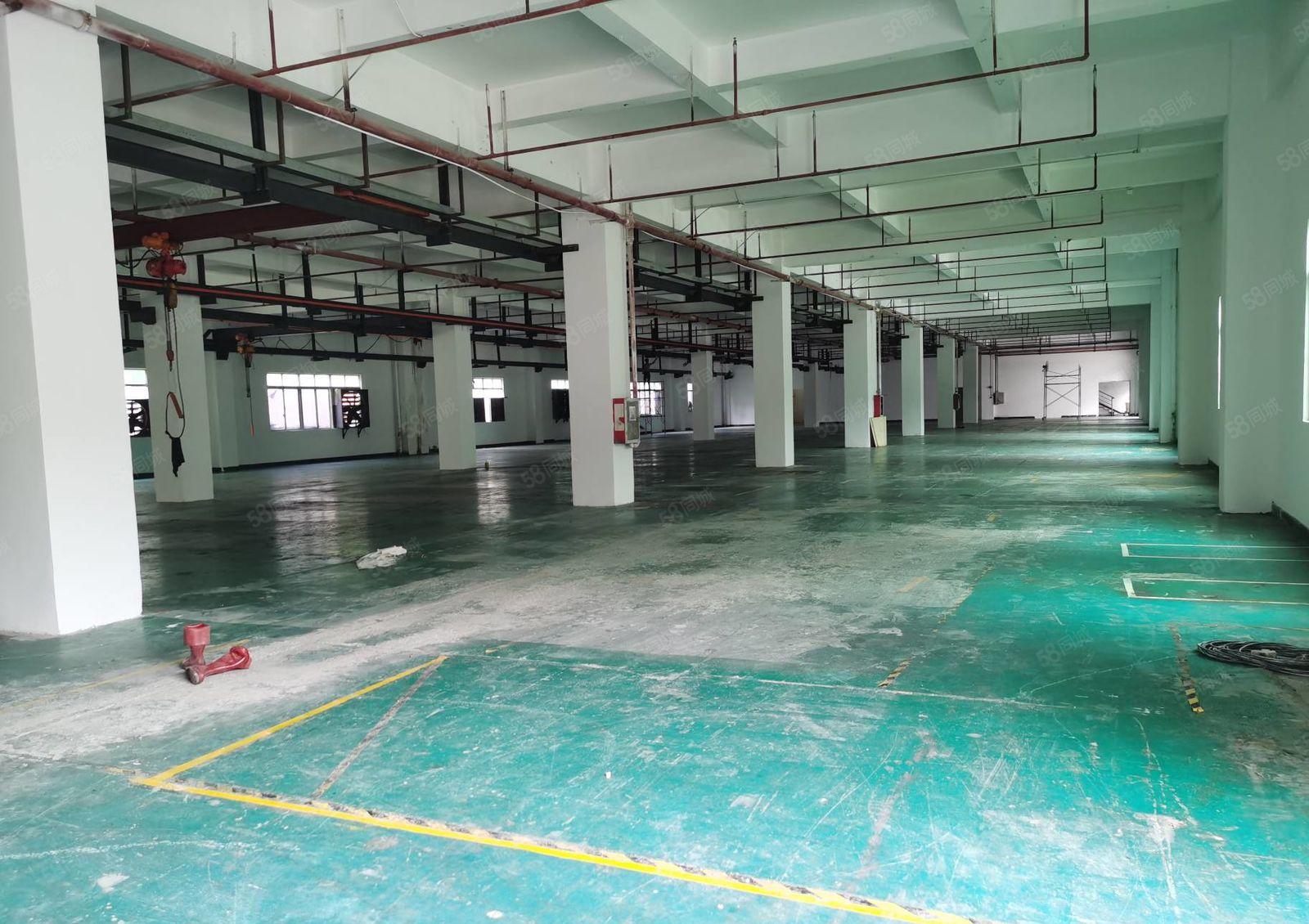 厚街白濠新出独门独院标准厂房可分租，空地免费用，可办环评