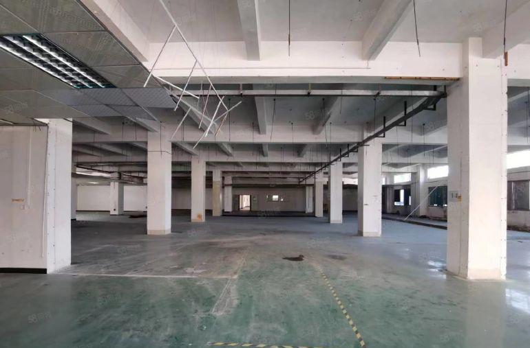 厚街镇双岗家具厂房4000平方200平方起分现成家具环评油房