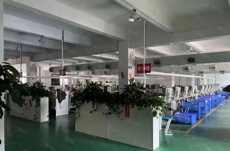 厚街原房东独院8500平方出租，只租实业客