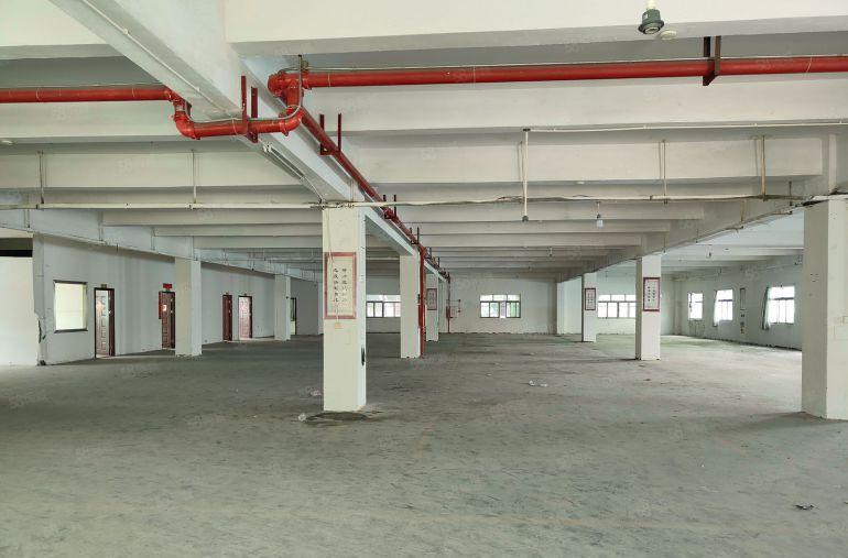 原房东标准独院厂房出租 交通便利 适合鞋材 五金 设备 电子