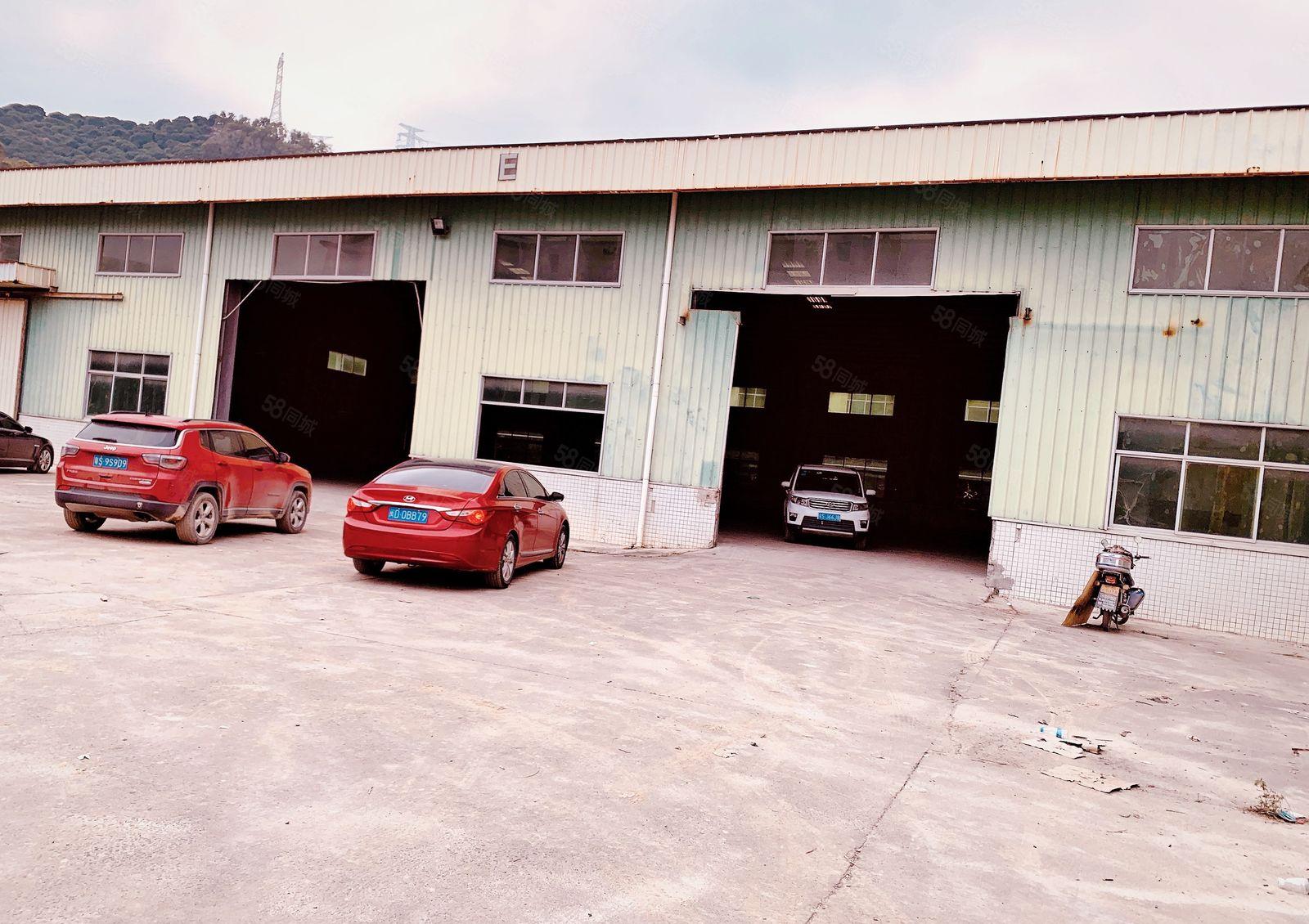 厚街4000方原房东单一层钢结构 滴水9米