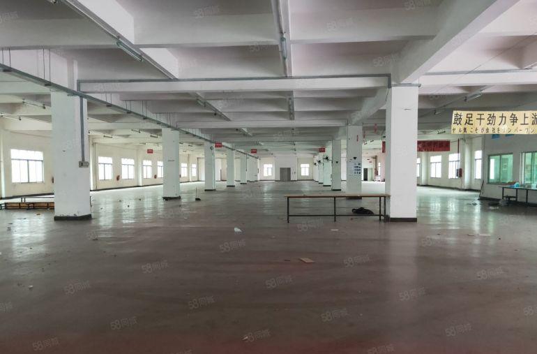 原房东独院1500平方 可做五金压铸注塑机械设备等行业