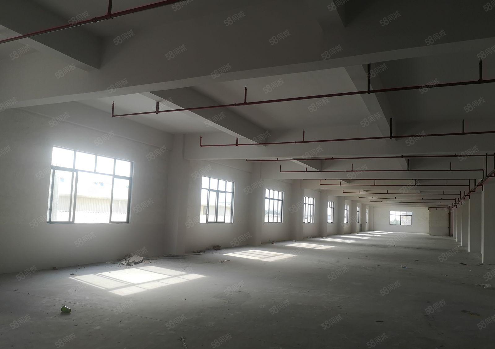 厂房出租，可办环评，随时看房，适合各种行业