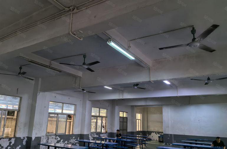 厚街独院厂房出租  精装修现成水电线路  适合模具五金电子