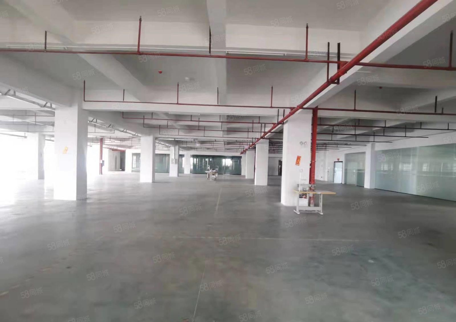 厚街白濠现成精装修厂房六楼3000平厂房出租水电齐全可办环评