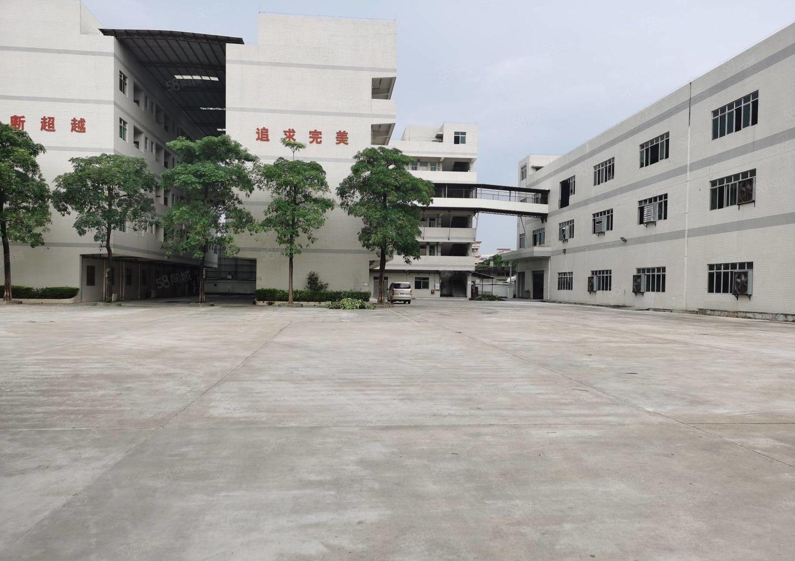 厚街白濠新出独门独院标准厂房可分租，空地免费用，可办环评