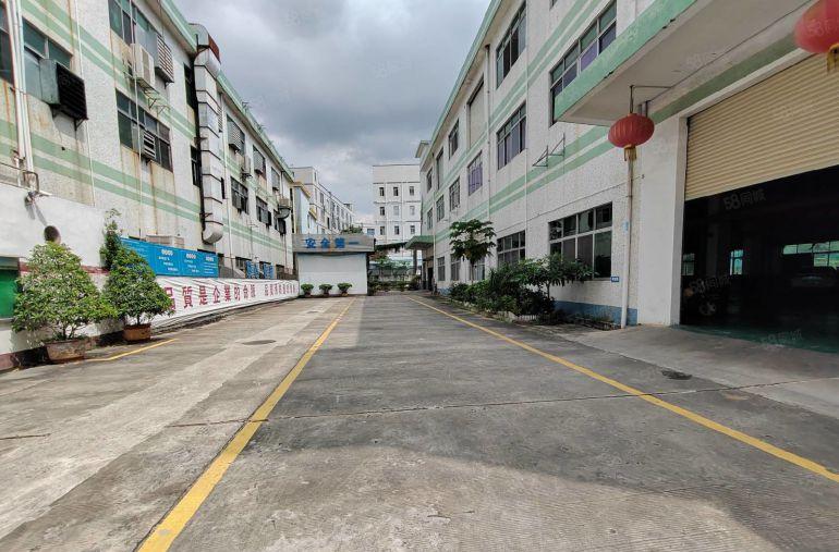 独门独院9块仓库出租厚街厂房出租5千平原房东厂房出租独院