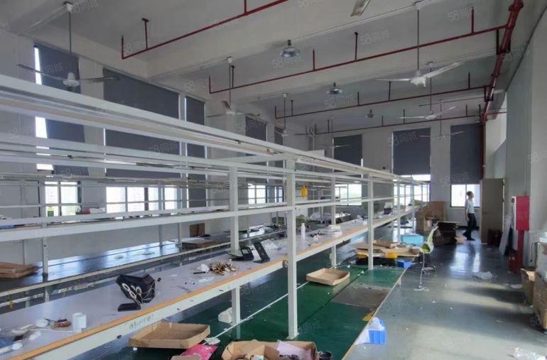 厚街新出原房东600平方厂房低价出租精装修水电齐全形象非常好