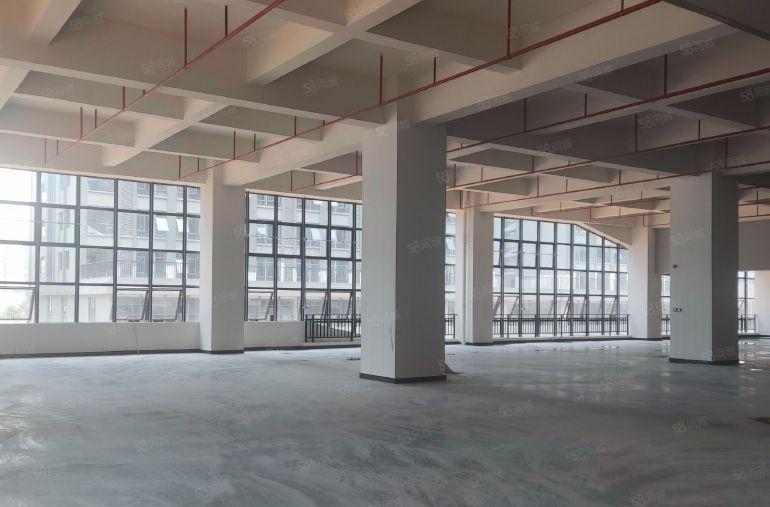 原房东全新标准厂房 上市公司形象 空地大 大小分租