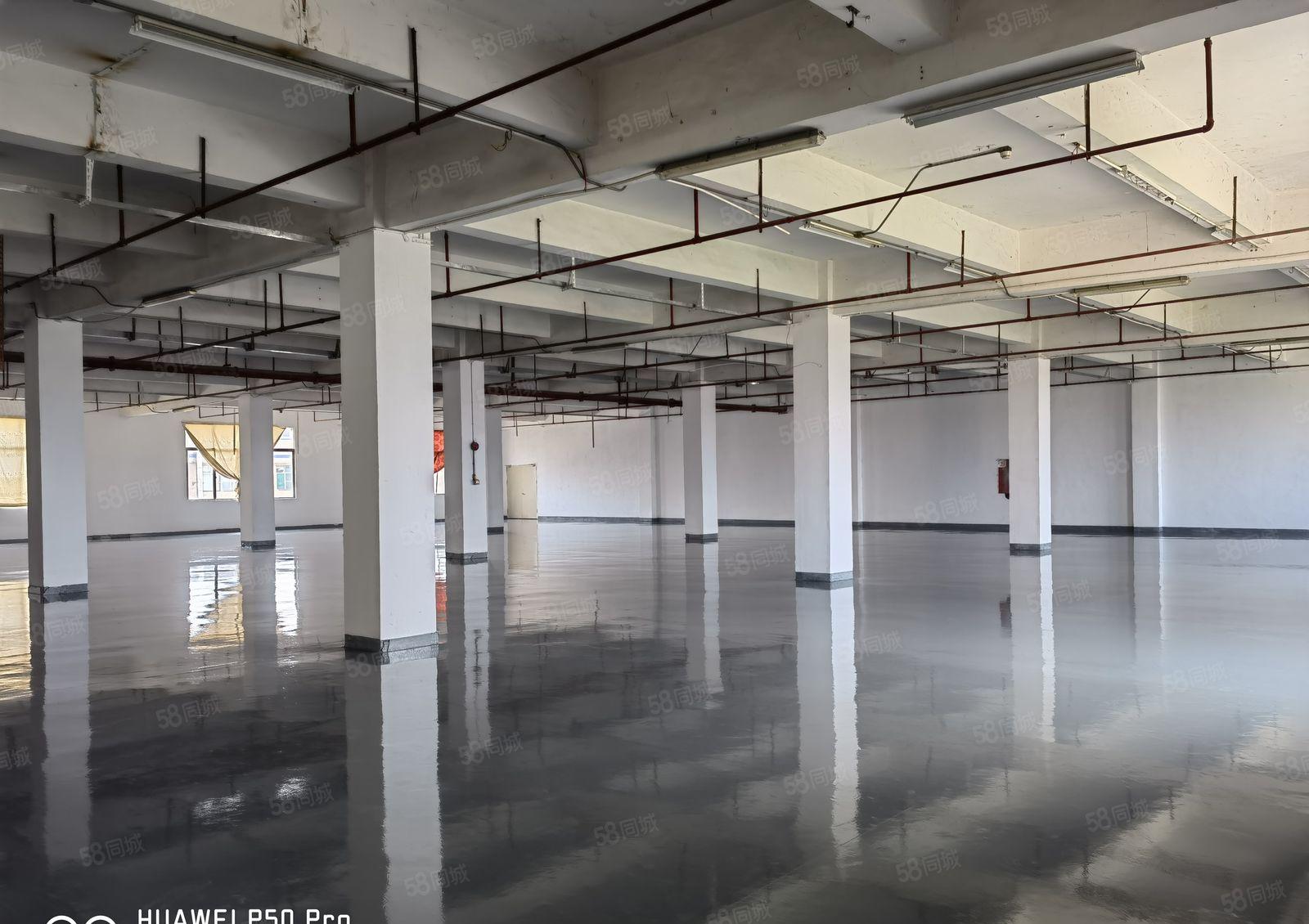 3层4000平独院厂房形象好莞太路边 交通方便 工业用地