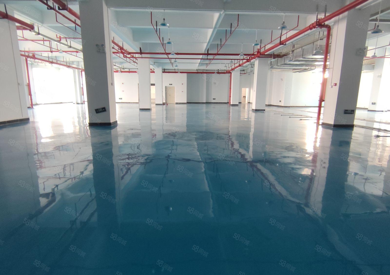 真实全新厂房 全新装修出租！