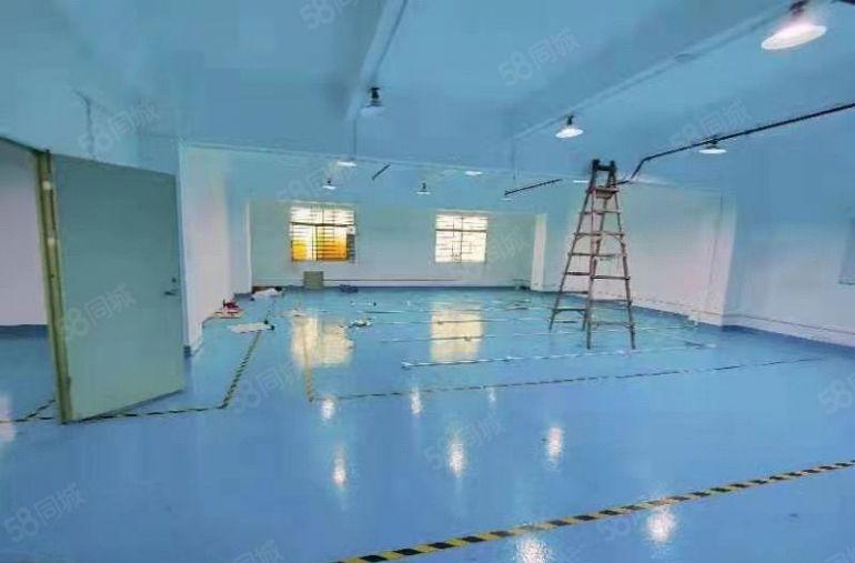 （出租）厚街新出1000平方标准厂房，水电齐全采光十足