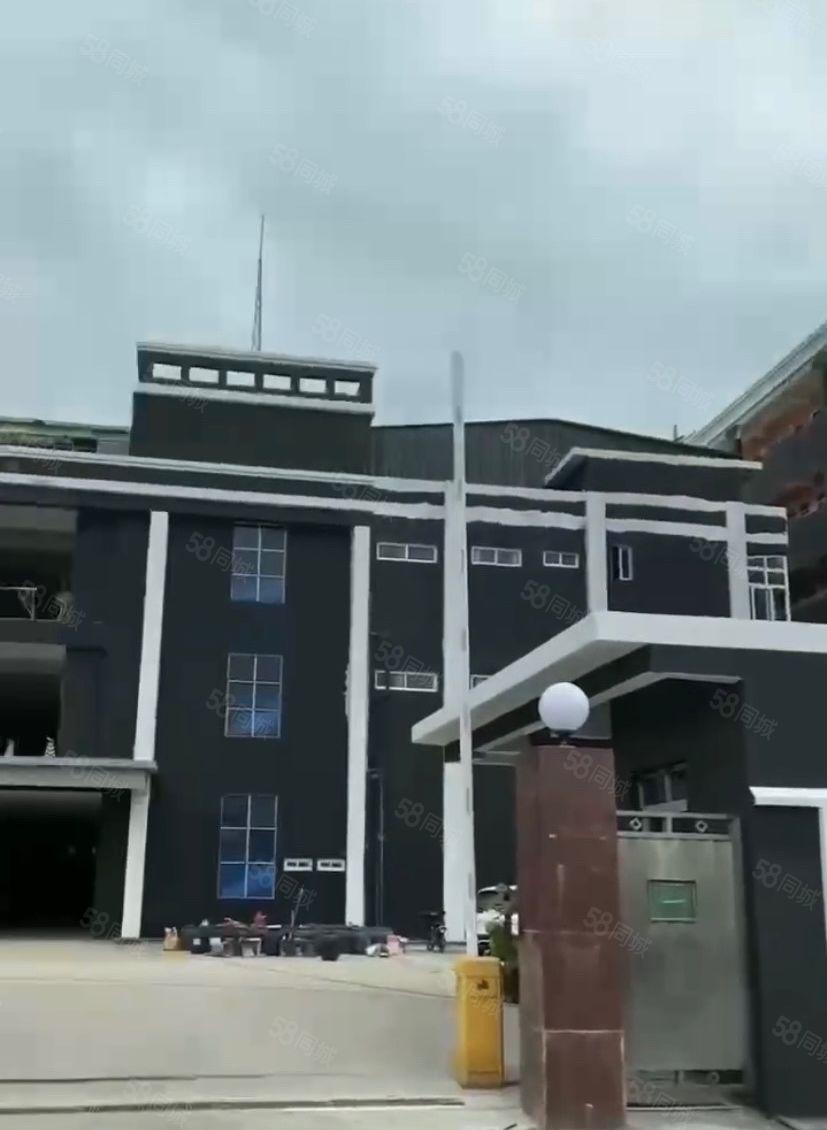 厚街镇赤岭村独门独院科技园大面积