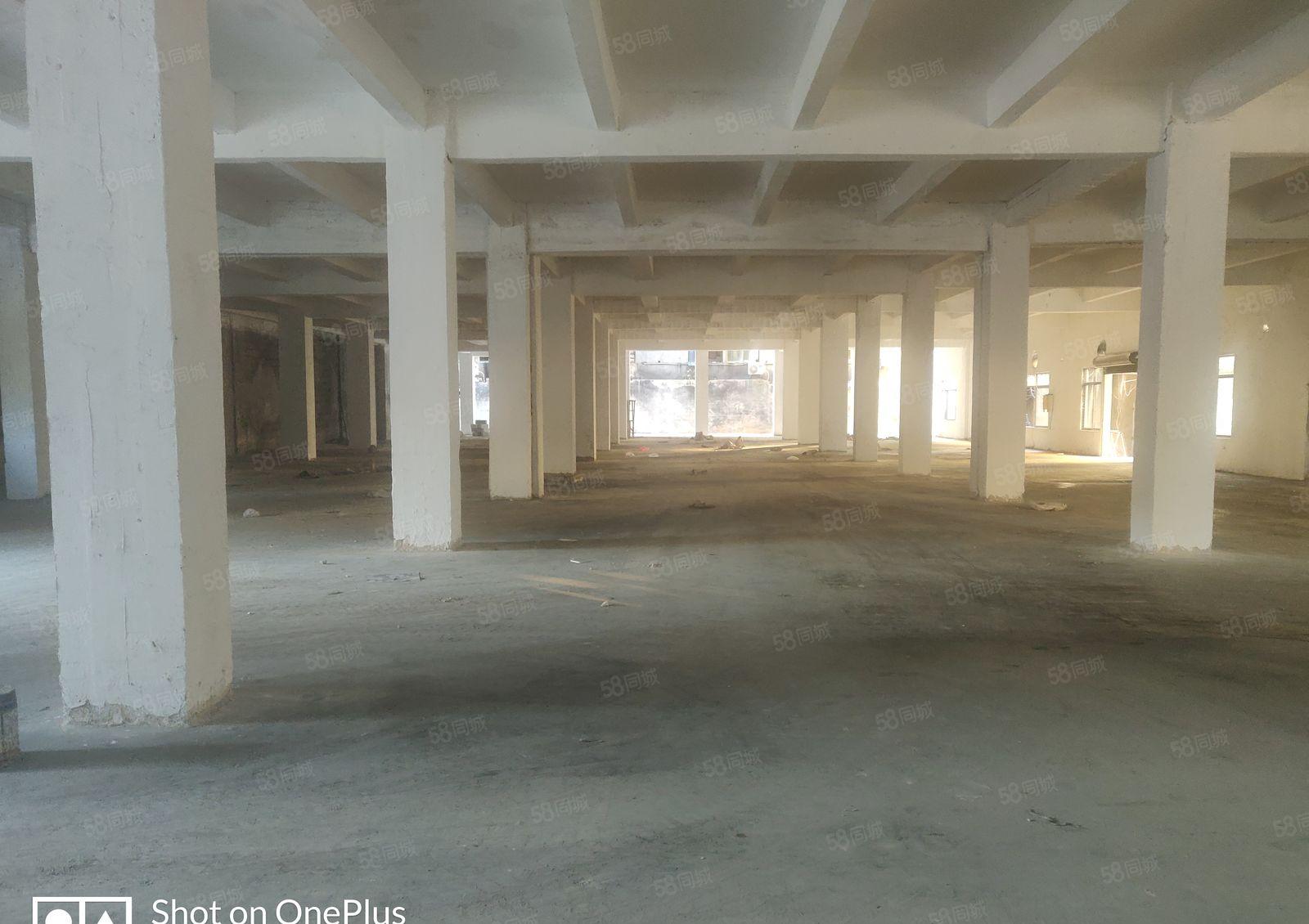 厚街新出特价厂房，园区大车位足，形象好，不限电，能进出大车