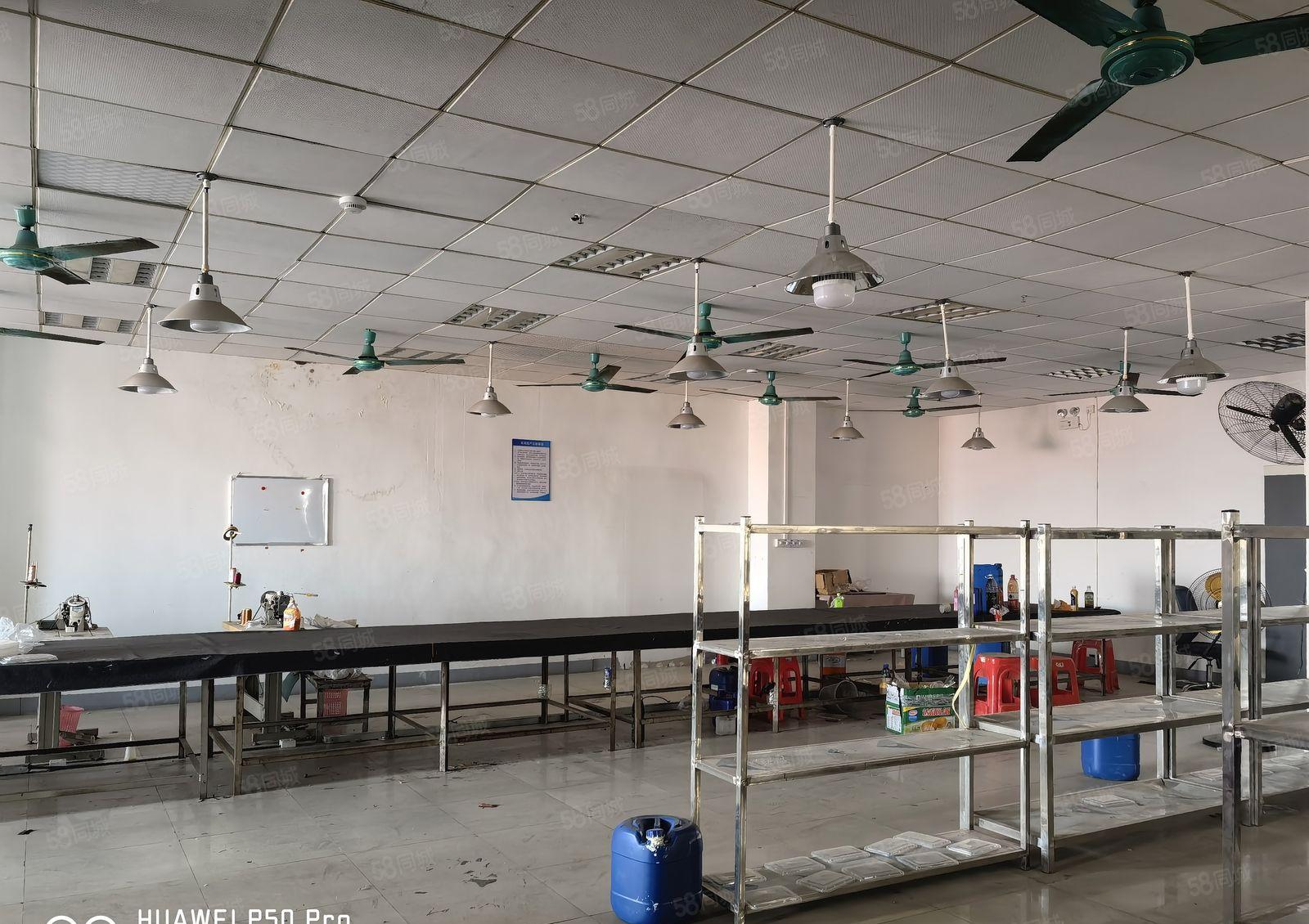 厚街镇西环路边新出独栋标准厂房单层800平方全新两吨货梯