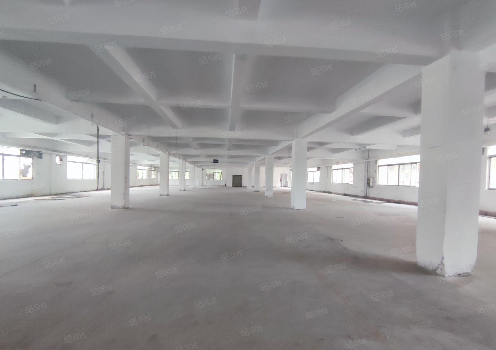 厚街镇高速出口附近原房东独门独院标准厂房出租4800平米