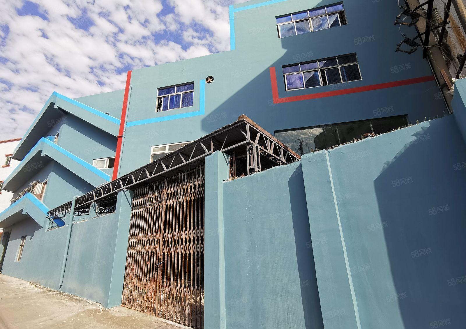 厚街镇厚街村一楼标准厂房招租，全新厂房，送院子，免租期长。