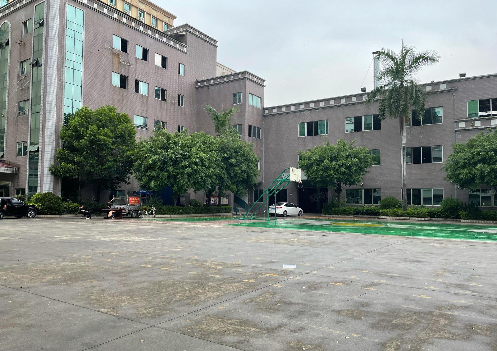 厚街花园式厂房一楼6500平方，现成环评，适合各种行业