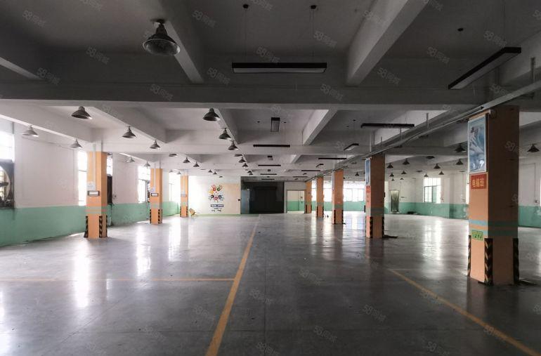 厚街赤岭园区厂房二楼精装办公现成水电1250平方整层低价出租