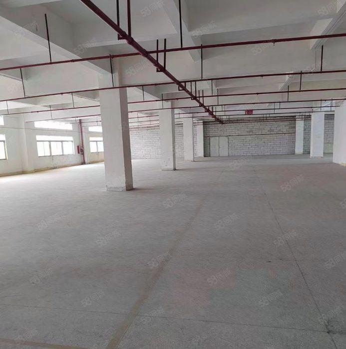 厚街三屯原房东独门独院厂房出租5000平米