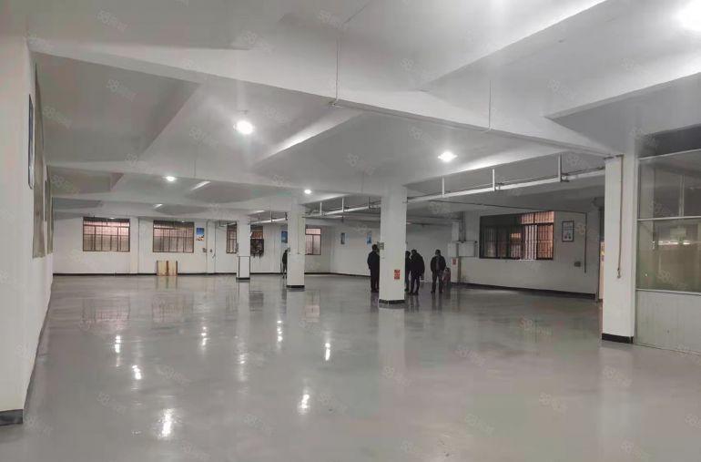 厚街三屯原房东一楼720平方精装修水电齐全带办公室厂房出租