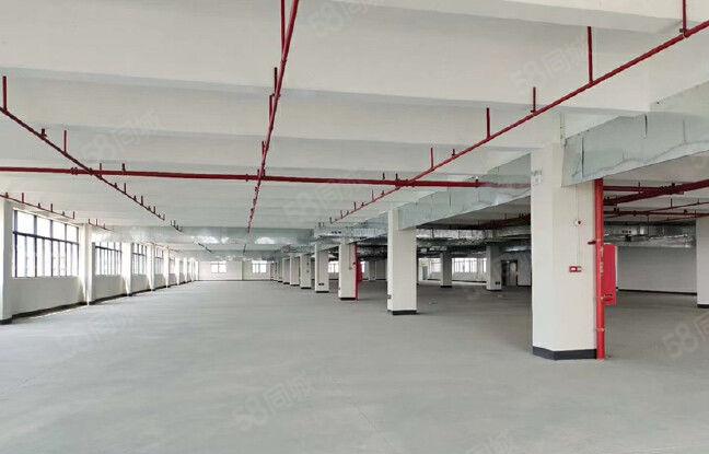 107国道边工业区1至4层6500平米独门独院厂房出租