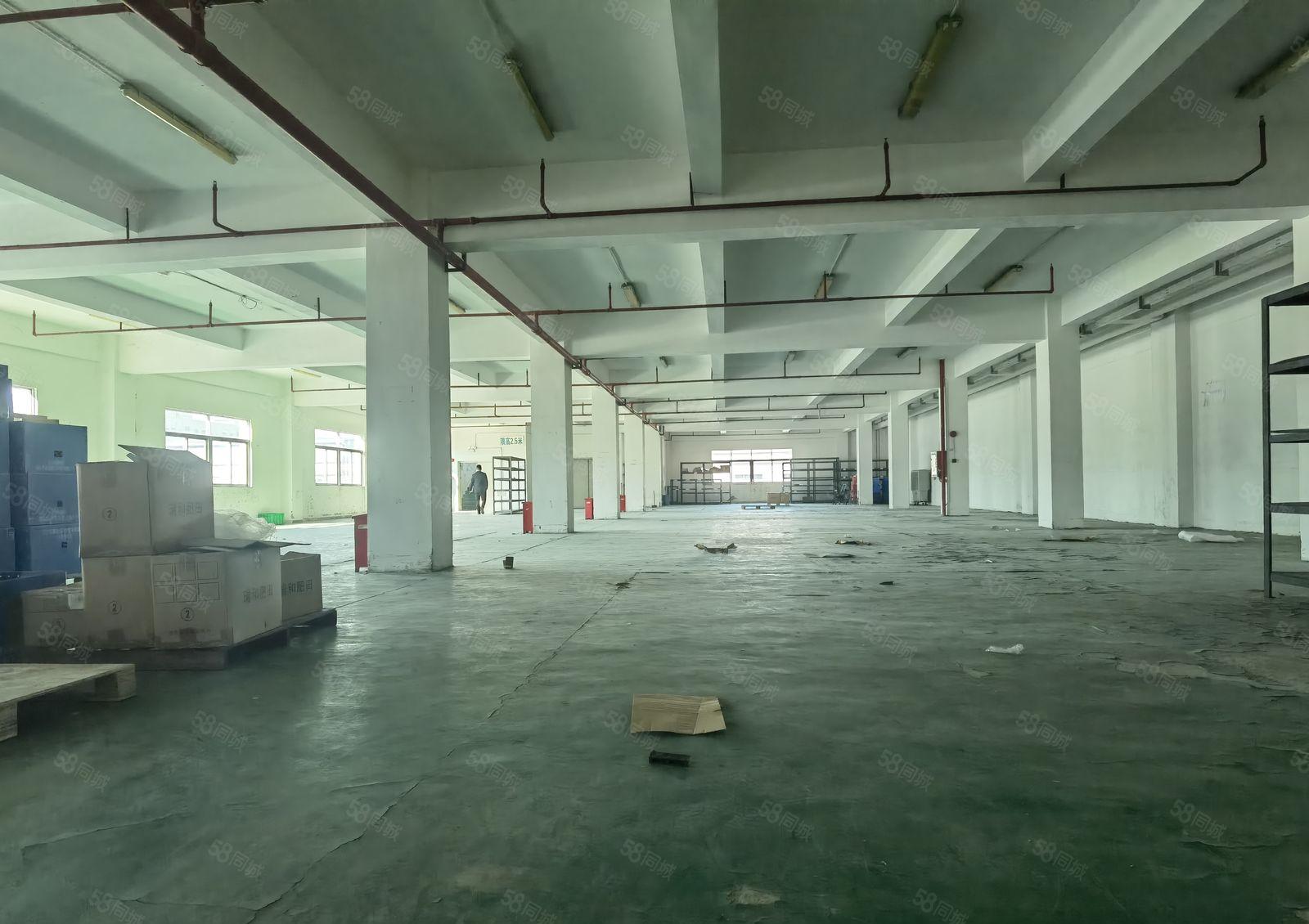 厚街独院五金注塑环评厂房5200方可分租