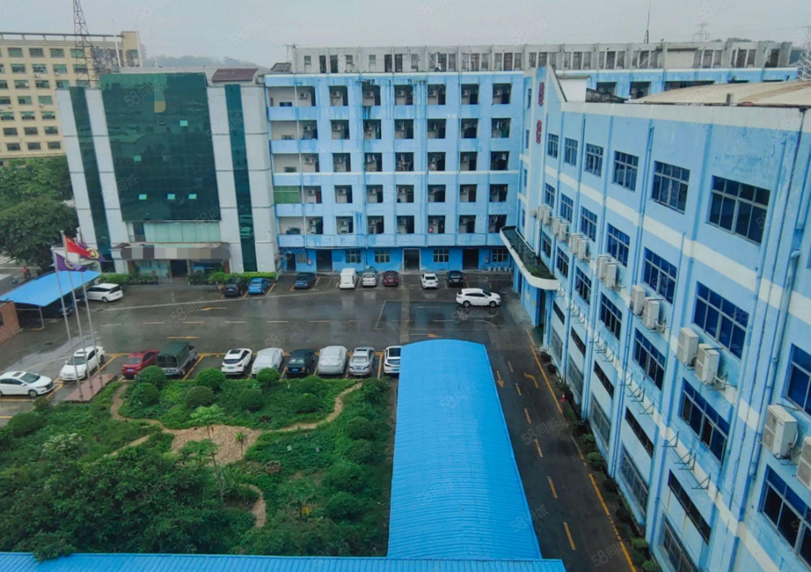 厚街镇原房河田新出厂房6900平方  可按需分租  超大空地