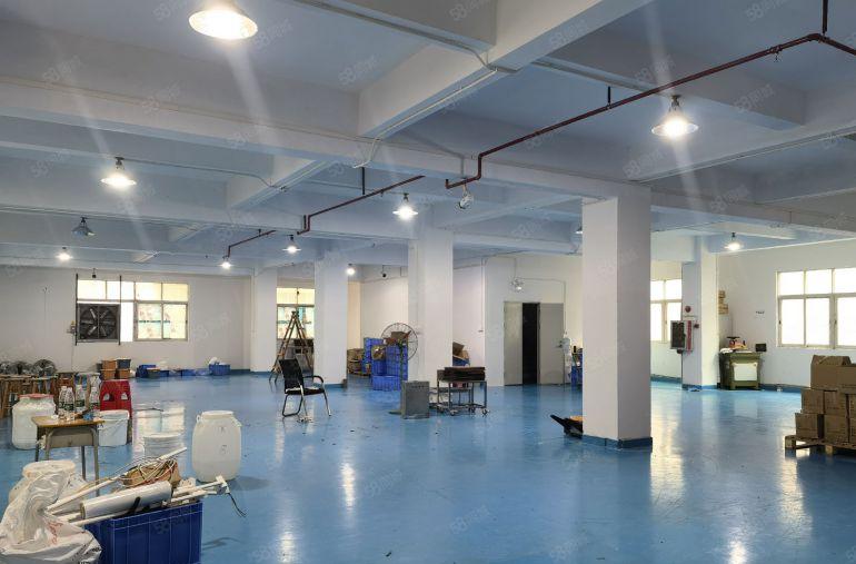 厚街新塘小学附近3楼整层520平精装地坪水电齐全厂房低价出租