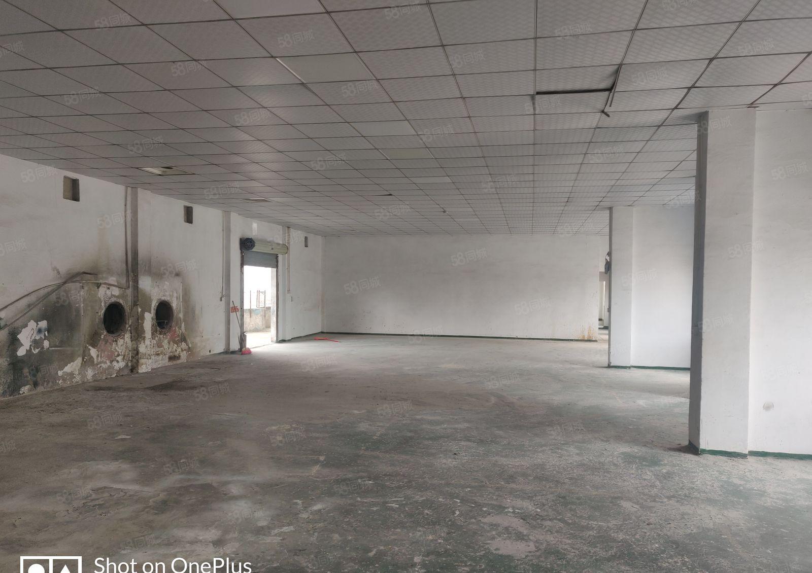 厚街桥头新出厂房，适合各行各业，能进大车，水电齐全，无柱子