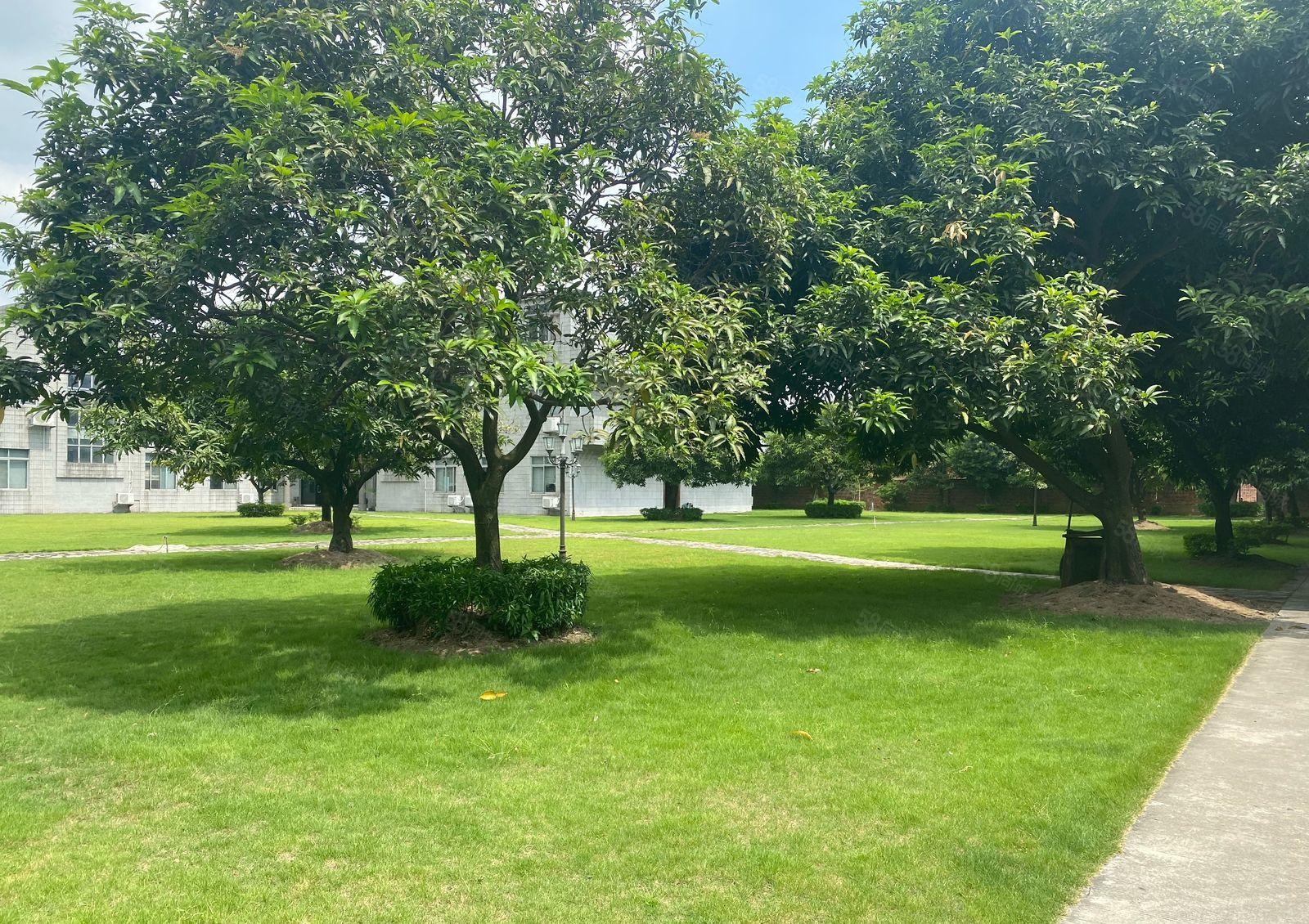 厚街新出花园式厂房空地超大1万平方