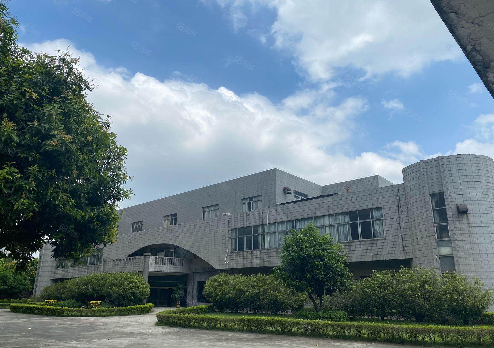 厚街新出花园式厂房空地超大1万平方