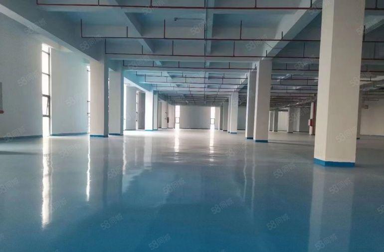 厚街镇 厚街村楼上全新厂房1000平起分租金9块带装修