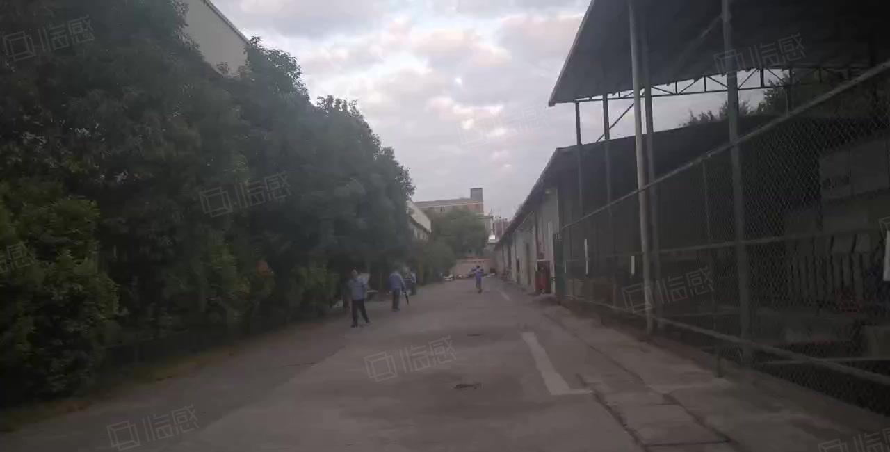 厚街推出钢构和标准厂房2000平，环境好！价格低！