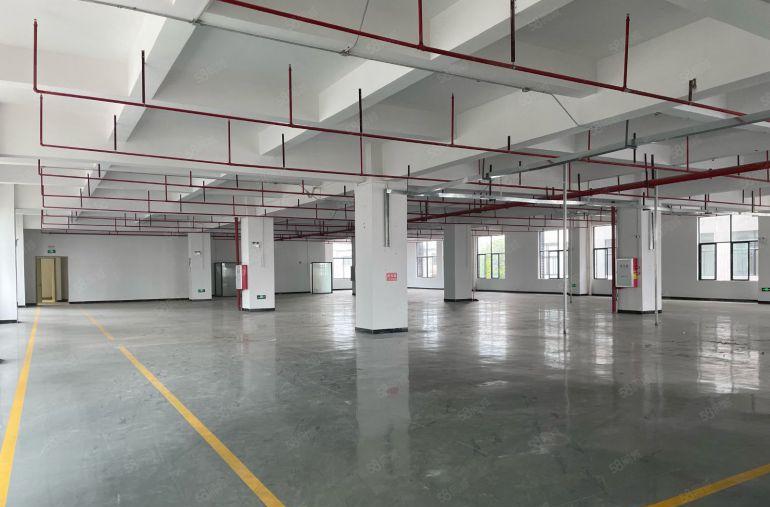 ！厚街（豪华装修）整层2000平方厂房出租