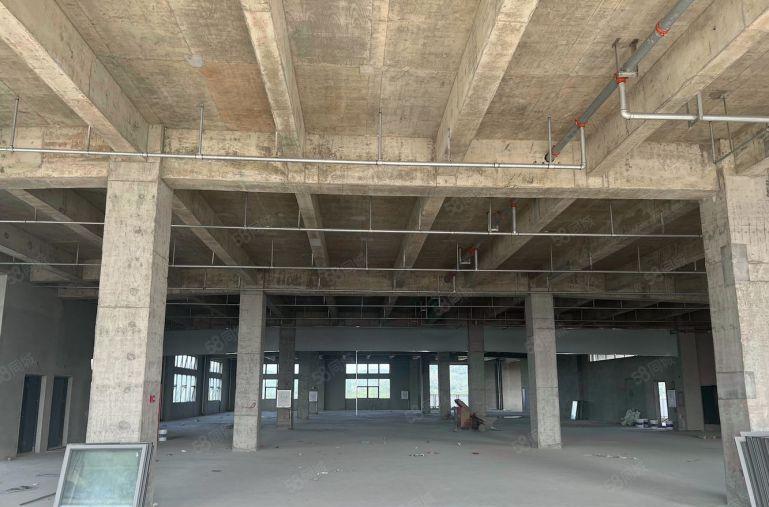 厚街全新工业园M1厂房14起租含税随时可看，5吨货梯水电正常