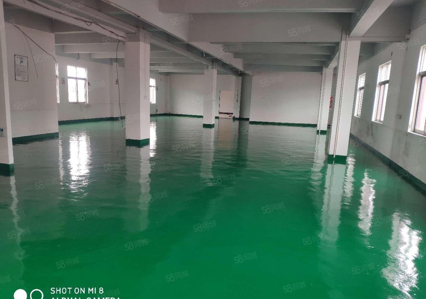 厚街新出原房东325平水电齐全精装修