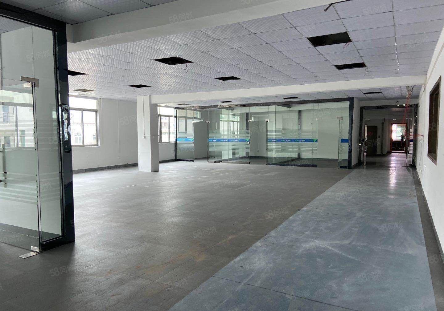 厚街新出原房东1350平方精装修水电齐全