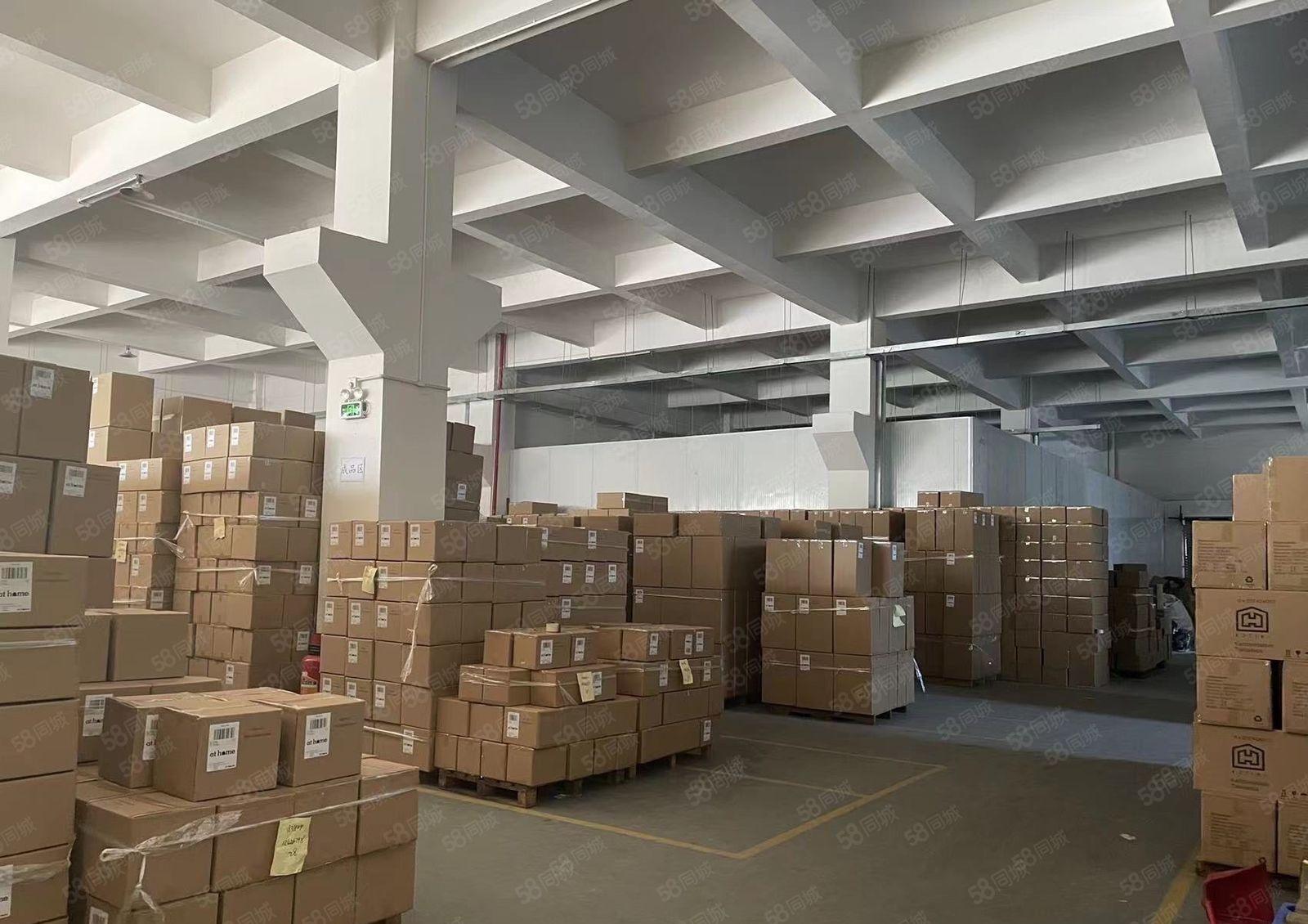 厚街汀山一手房东一楼1500平方高7米带牛角厂房出租超大空地