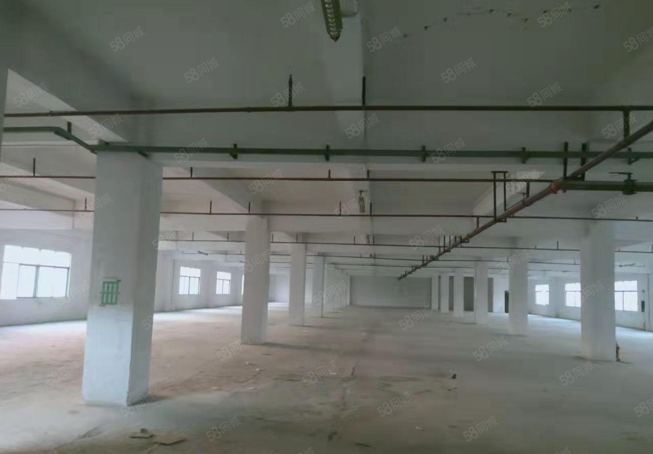 厚街整层2700平方可分租独立变压器两台三吨货梯卸货平台