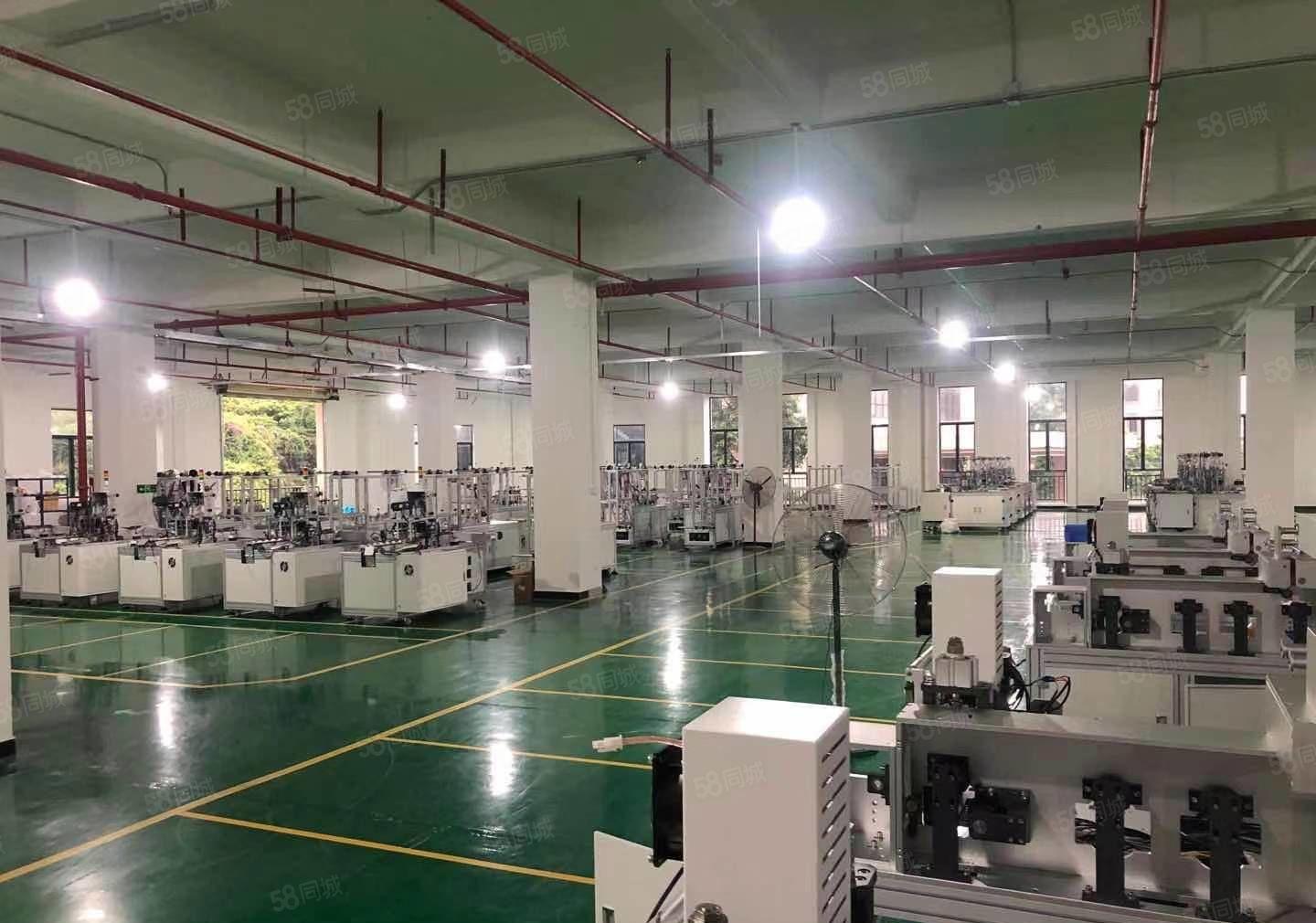 厚街汀山原房东1750平方精装修厂房仓库水电齐全