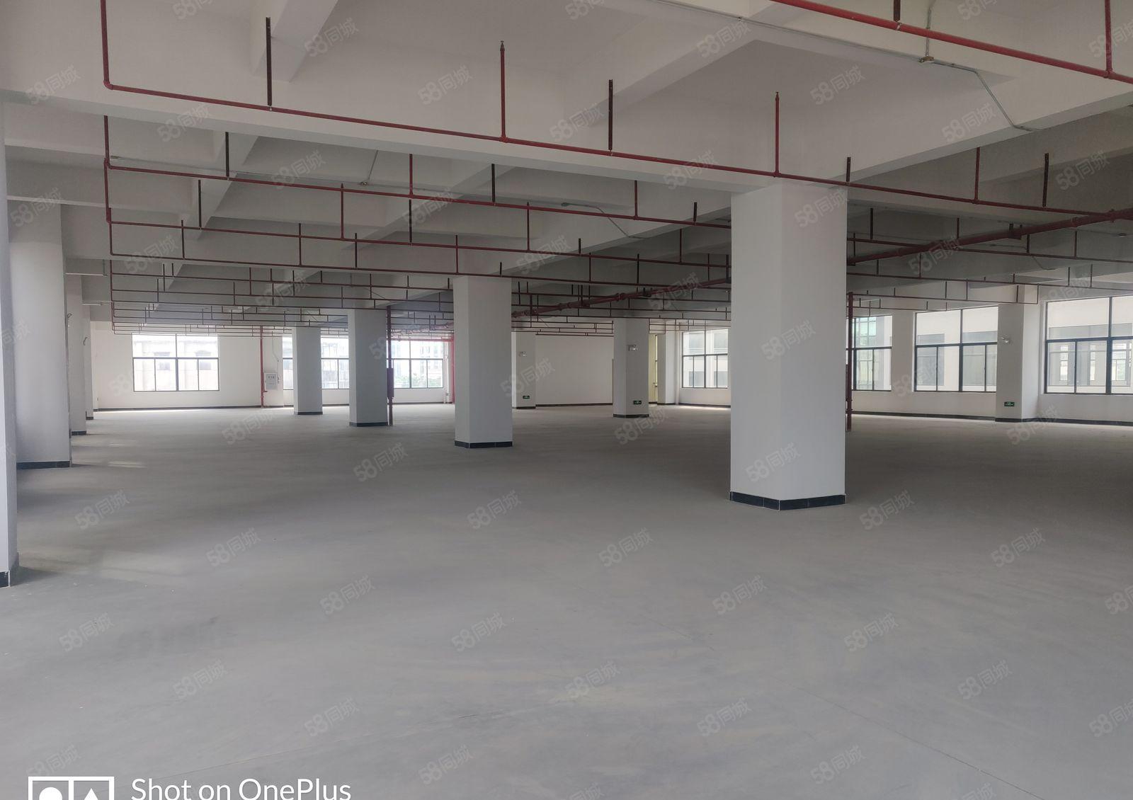 厚街全新厂房，有红本，工业用地，园区空地大，停车位足，电充足