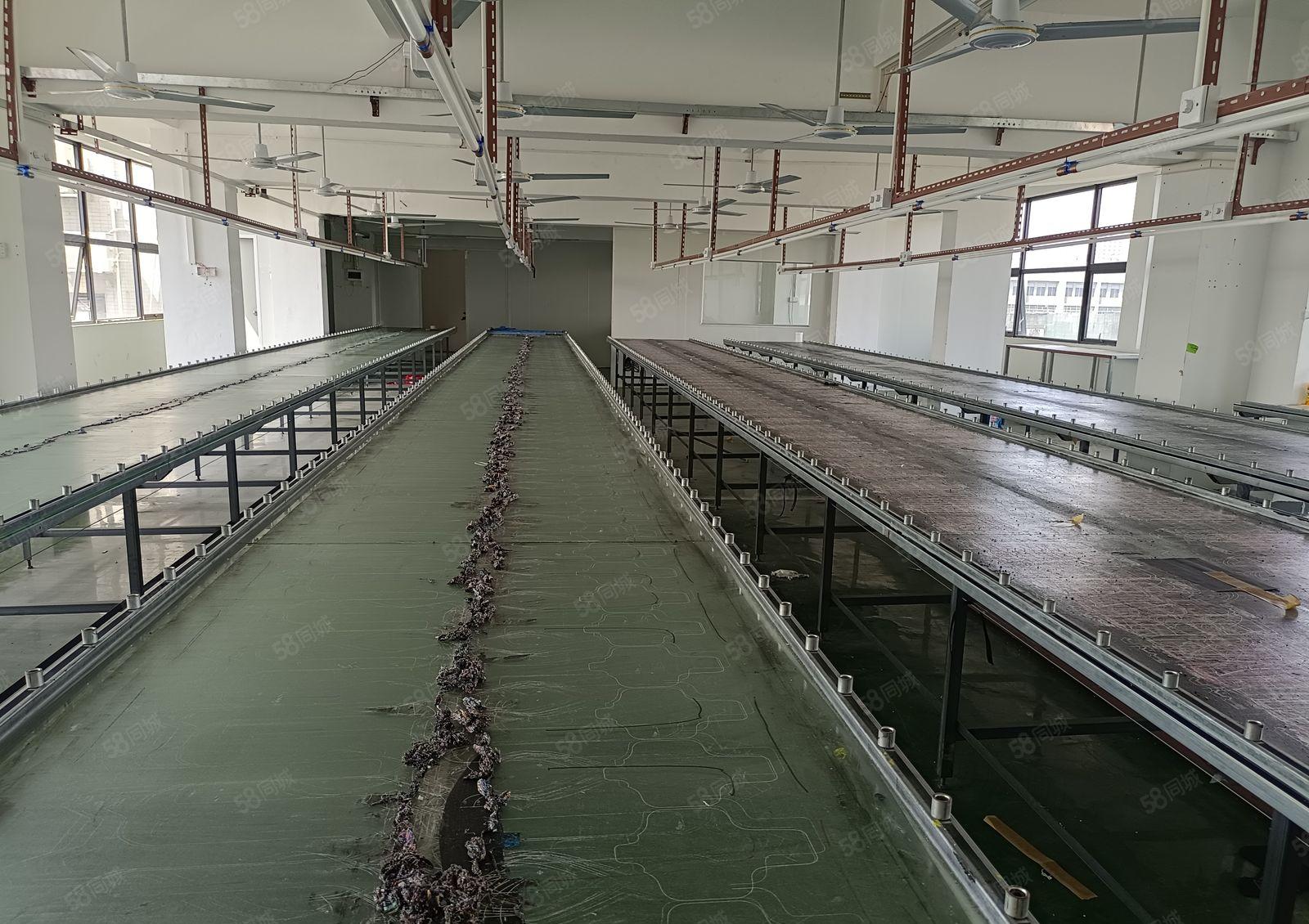 带丝印环评 厚街镇楼上厂房出租450平 小加工秒杀 仓库出租