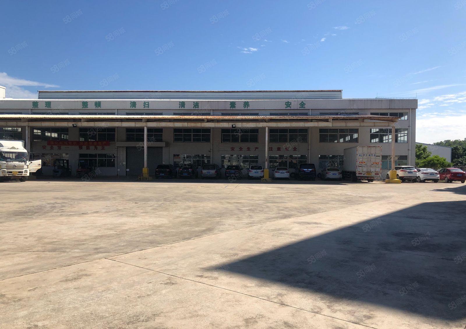 厚街镇红本厂房53000平米招租