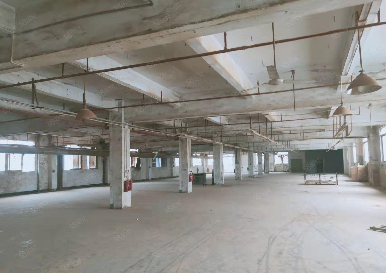 厚街独门独院可分租5000平全新装修