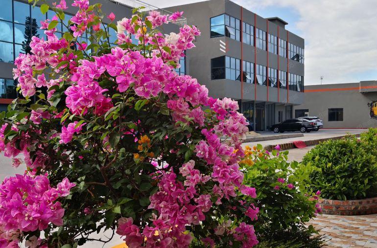 东莞市厚街镇大型园区精装修厂房，一楼800平，带牛角可进拖挂