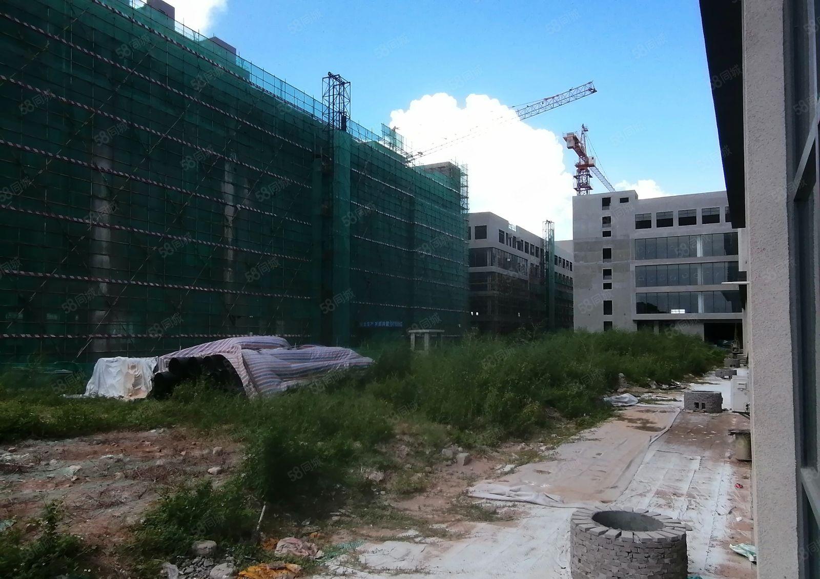 原房东全新独院定建厂房，标准工业用地，也可以包租，出租。