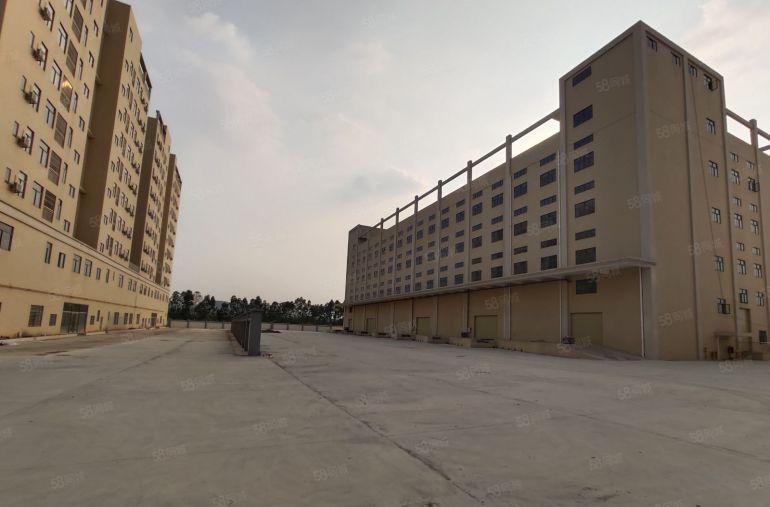 厚街独院 带卸货平台全新标准厂房 层高10米 空地大 原房东