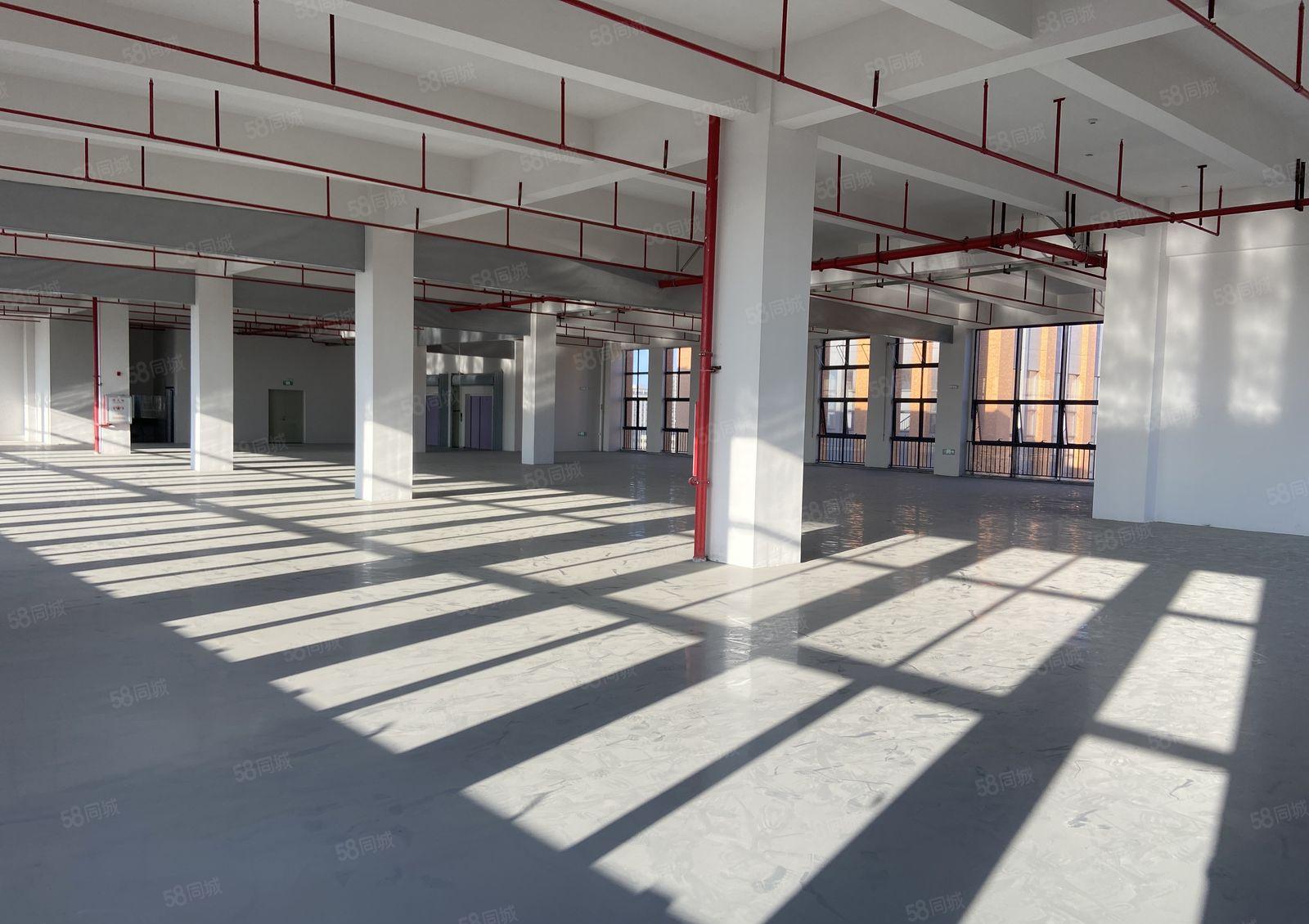 厚街涌口全新原房东厂房1730平方全新装修